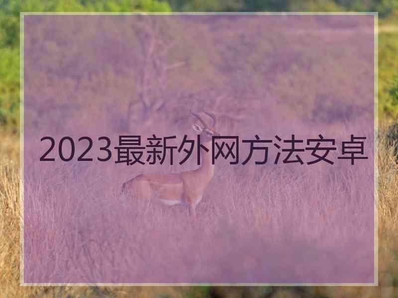 2023最新外网方法安卓