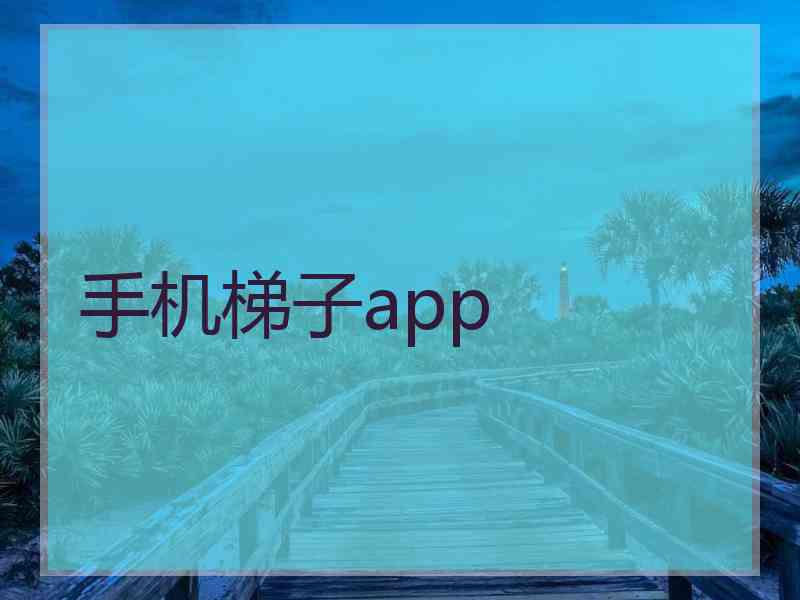 手机梯子app