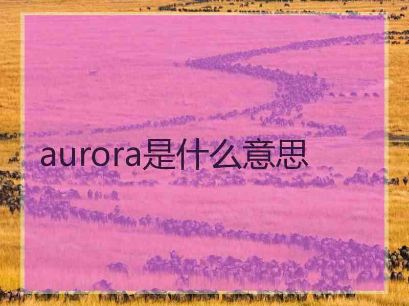 aurora是什么意思