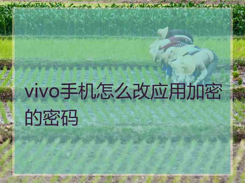 vivo手机怎么改应用加密的密码