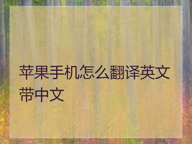 苹果手机怎么翻译英文带中文