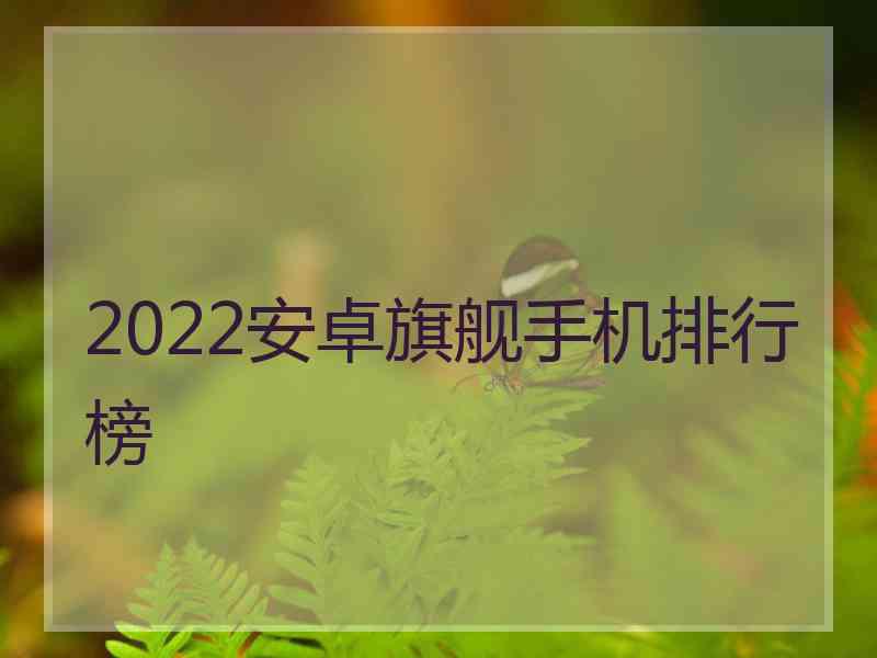 2022安卓旗舰手机排行榜