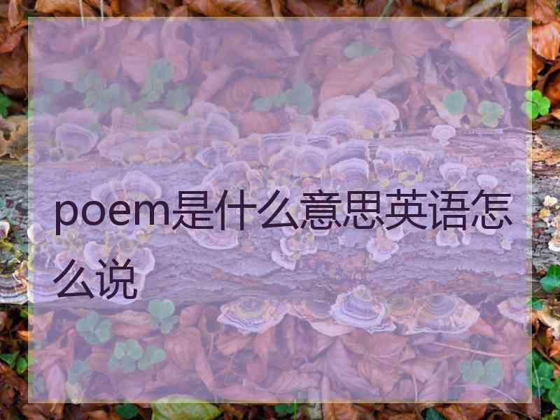 poem是什么意思英语怎么说