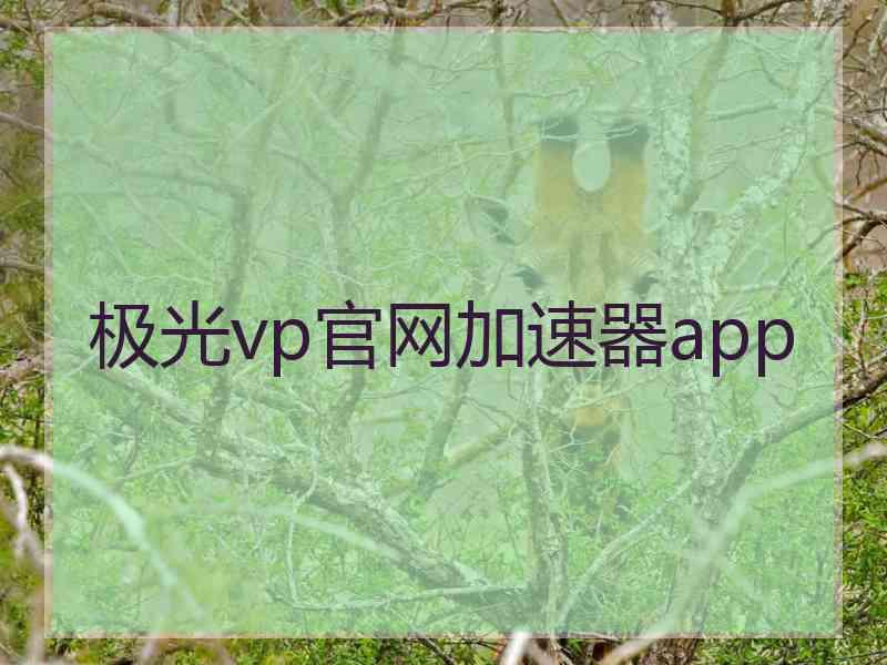 极光vp官网加速器app