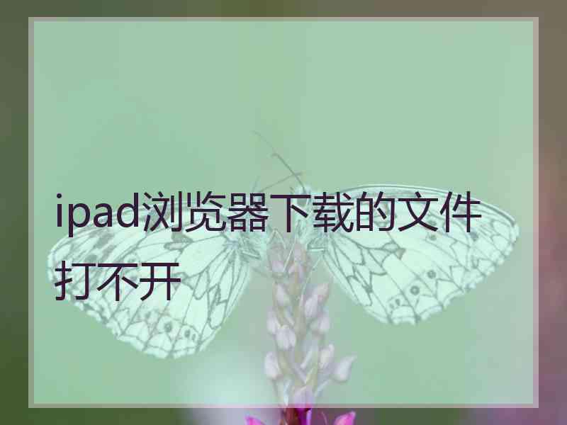 ipad浏览器下载的文件打不开