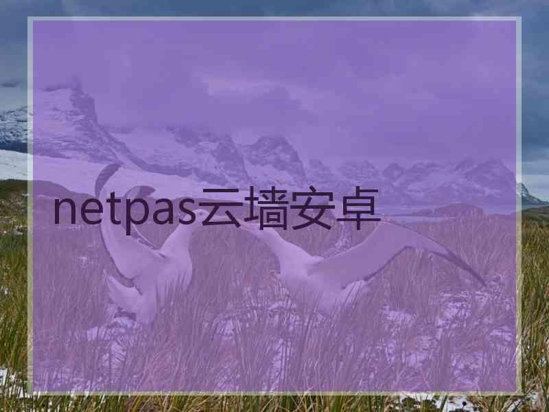 netpas云墙安卓