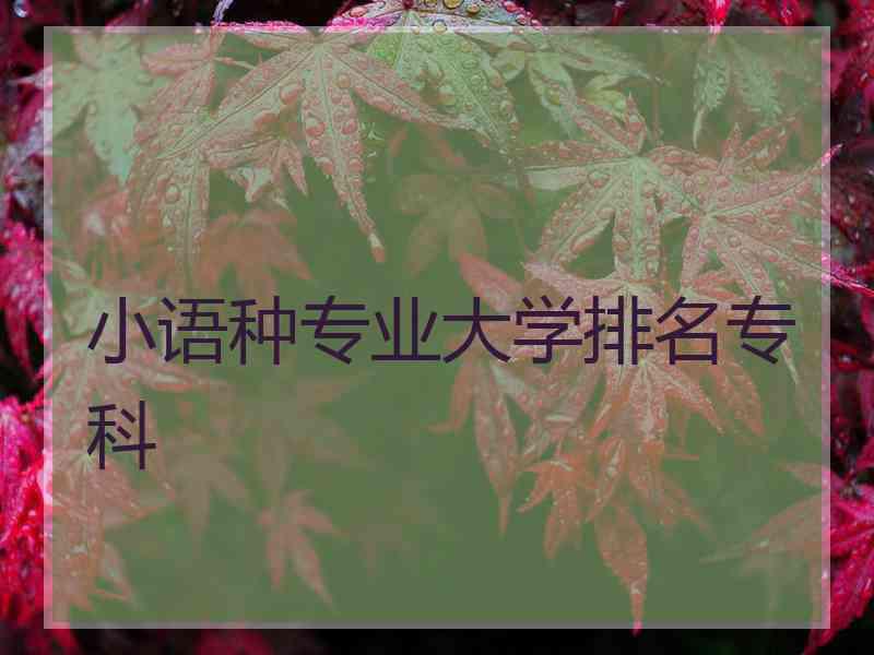 小语种专业大学排名专科