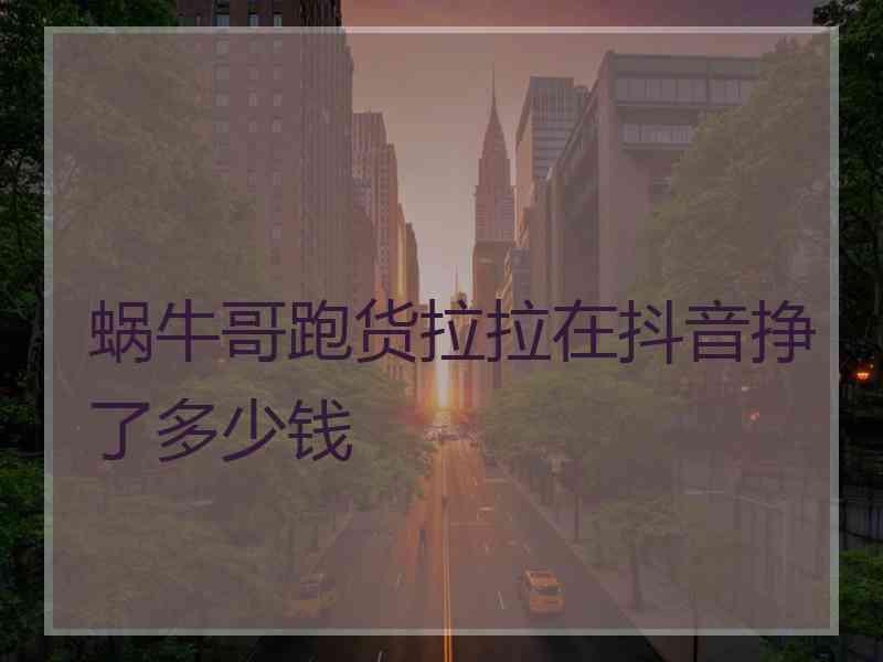 蜗牛哥跑货拉拉在抖音挣了多少钱