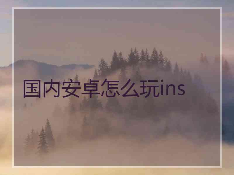 国内安卓怎么玩ins