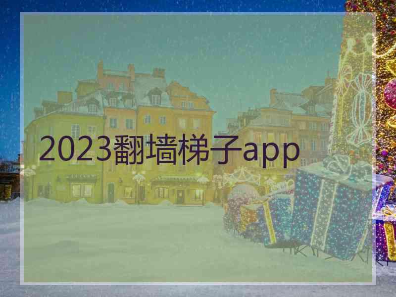 2023翻墙梯子app