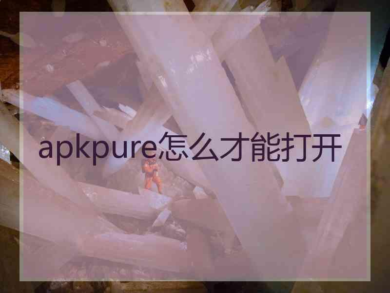 apkpure怎么才能打开