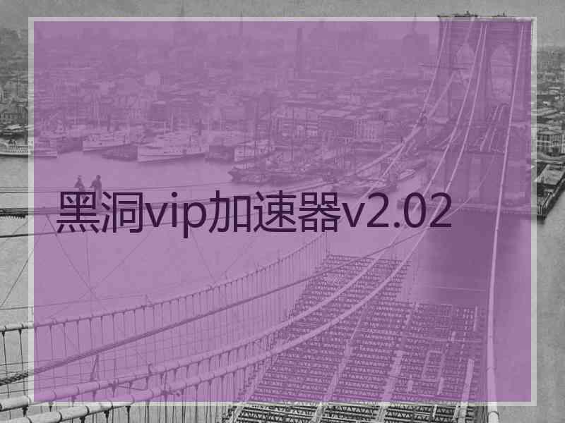 黑洞vip加速器v2.02