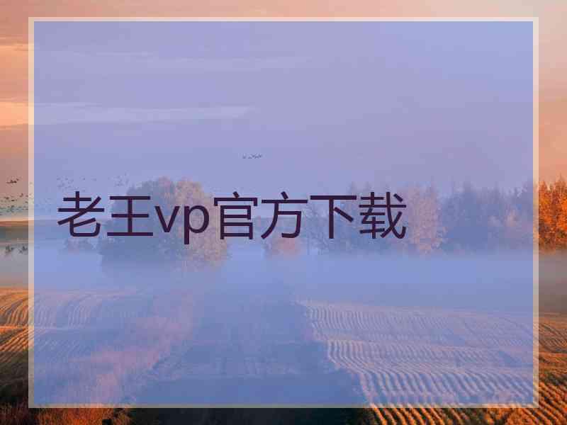 老王vp官方下载