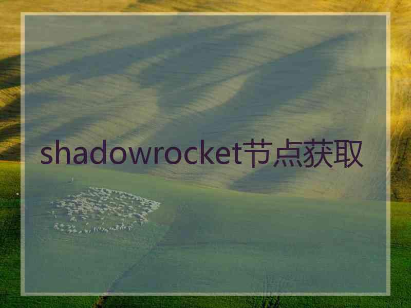 shadowrocket节点获取