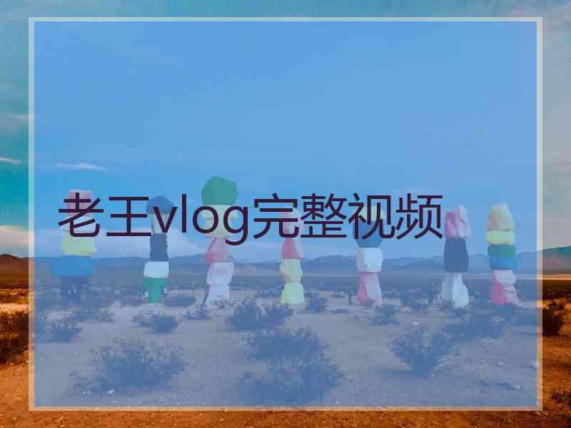 老王vlog完整视频