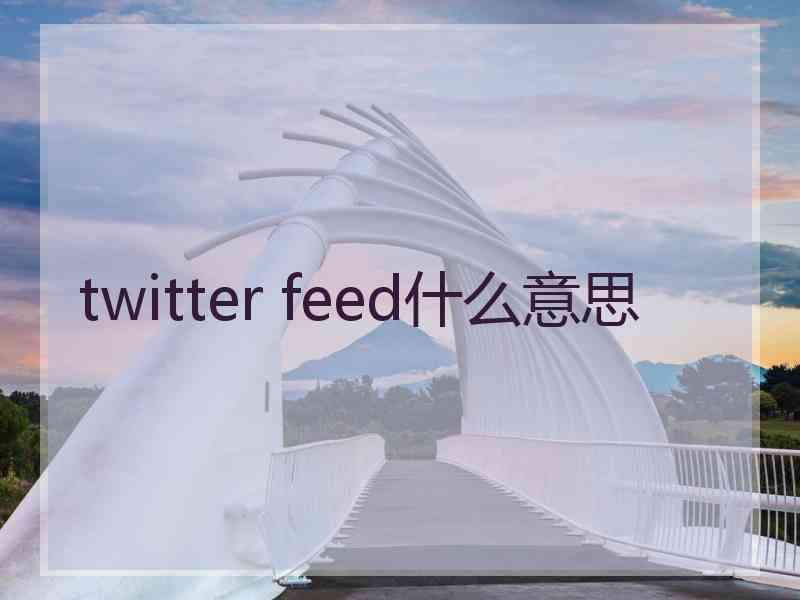 twitter feed什么意思