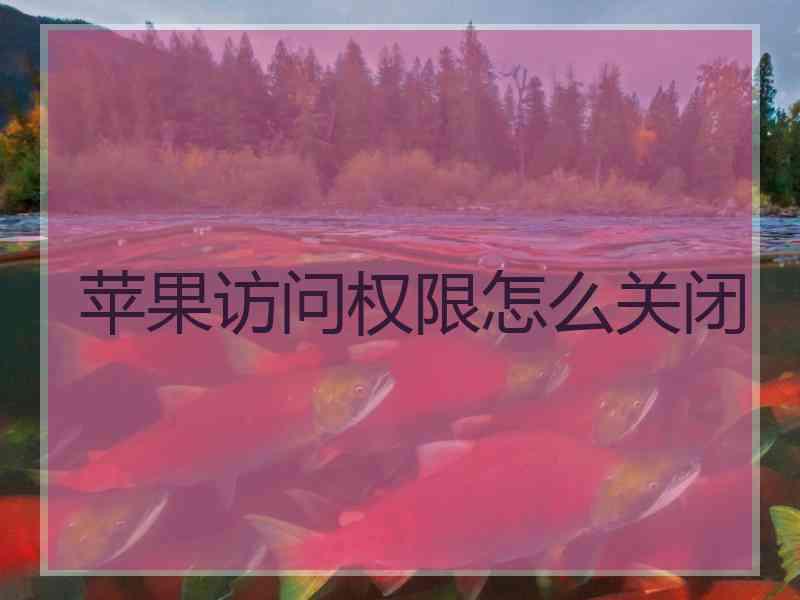 苹果访问权限怎么关闭