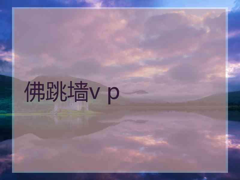 佛跳墙v p