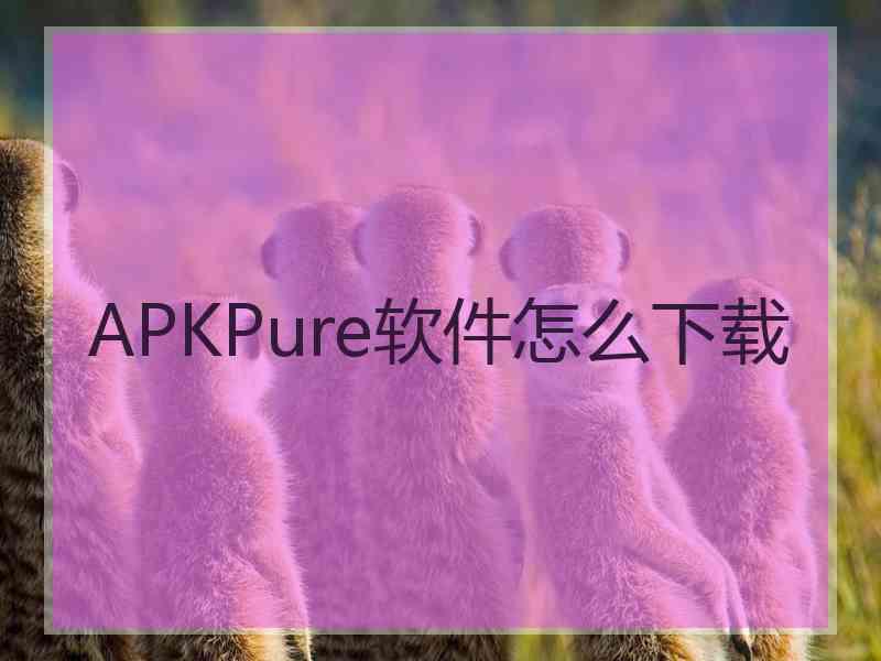 APKPure软件怎么下载