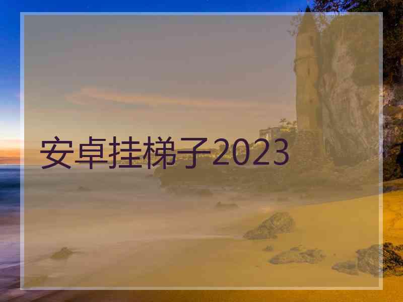 安卓挂梯子2023