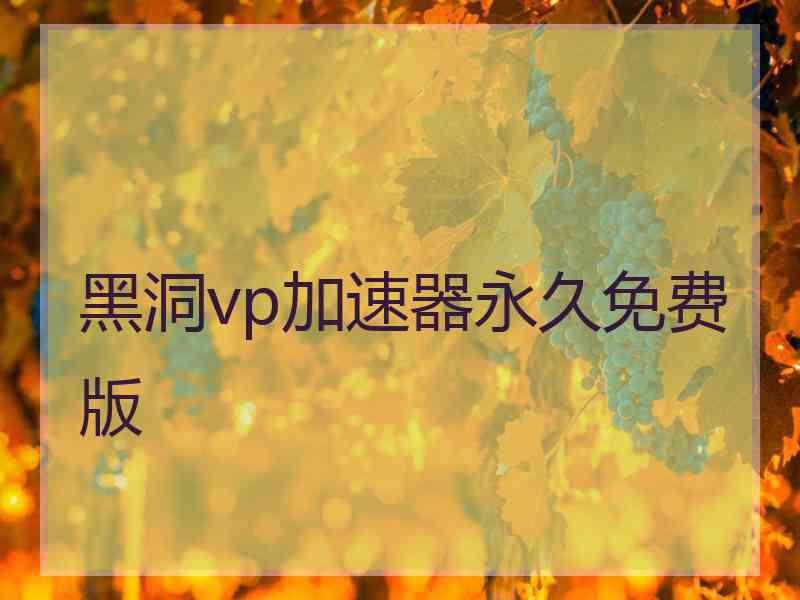 黑洞vp加速器永久免费版