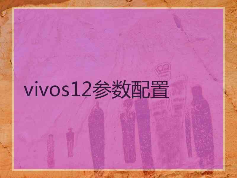 vivos12参数配置