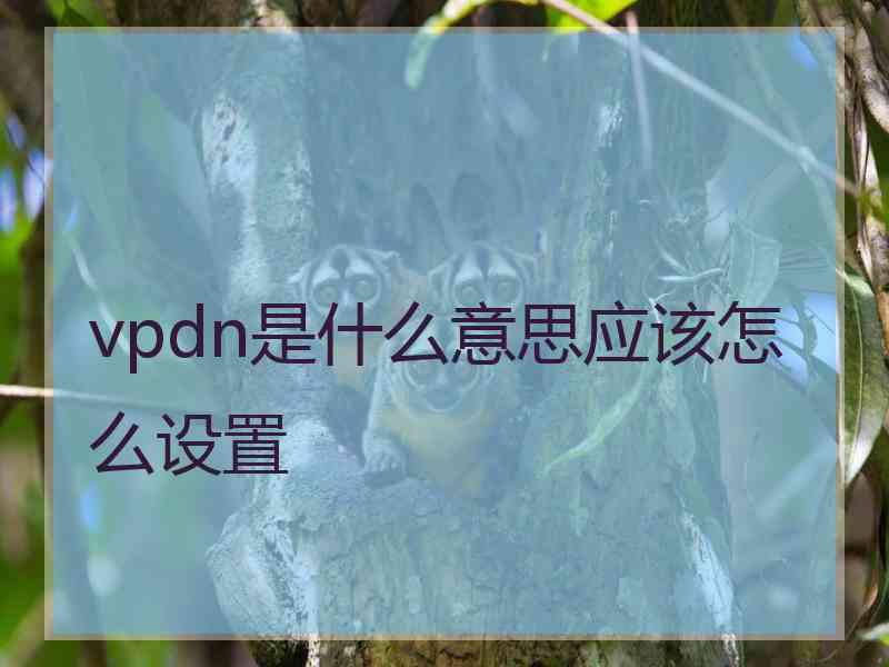 vpdn是什么意思应该怎么设置