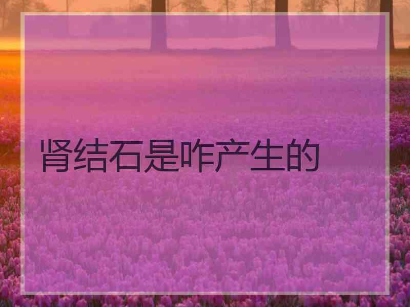 肾结石是咋产生的