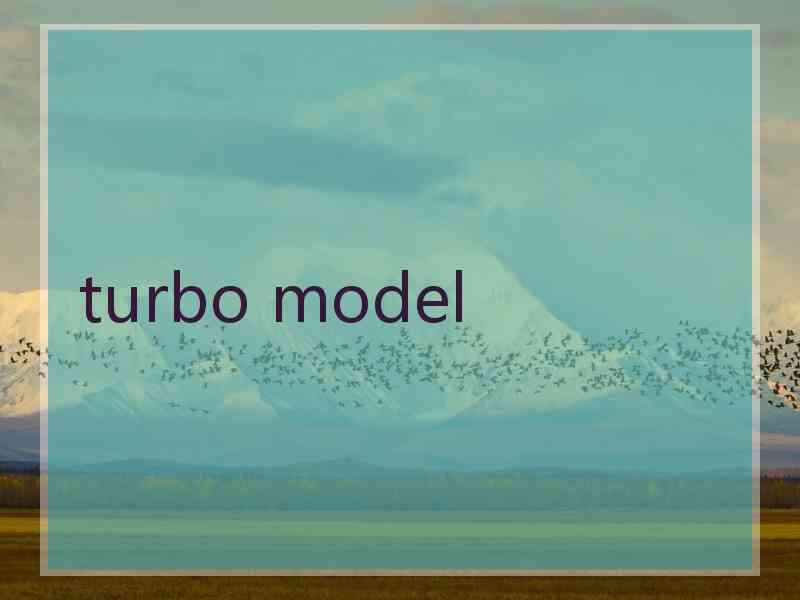 turbo model