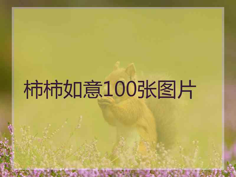 柿柿如意100张图片