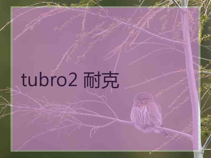 tubro2 耐克