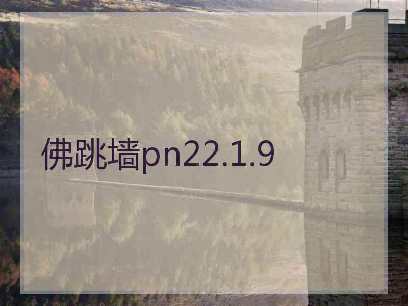 佛跳墙pn22.1.9