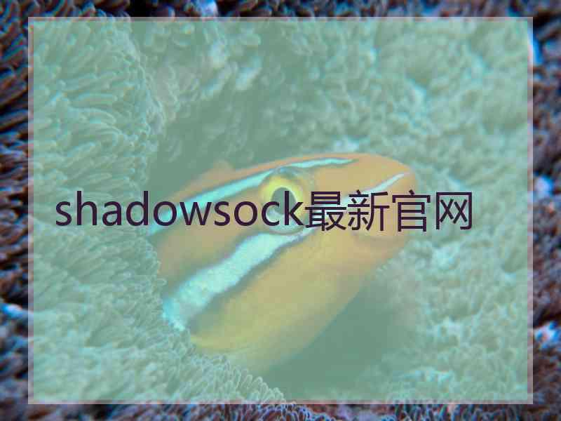 shadowsock最新官网