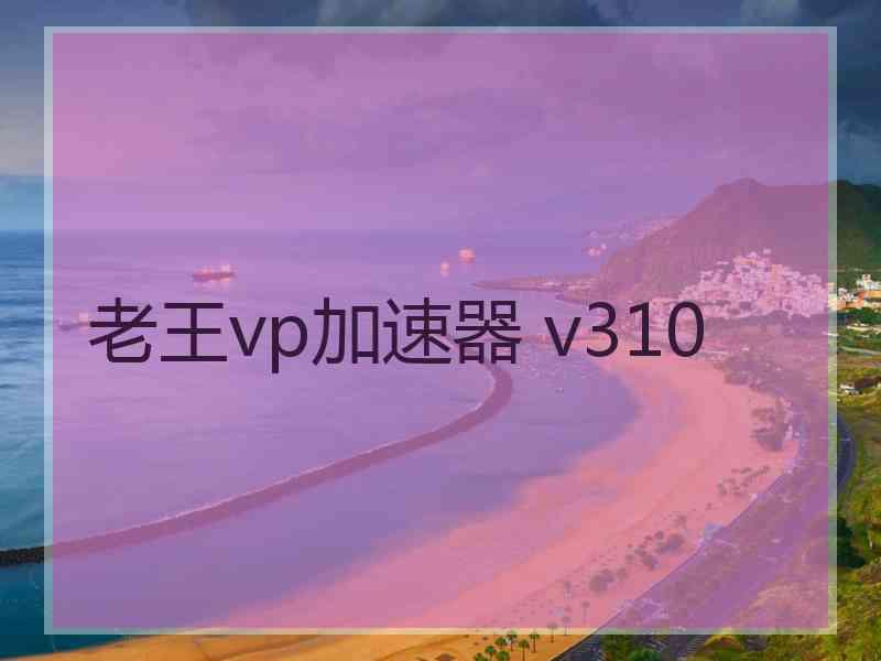 老王vp加速器 v310