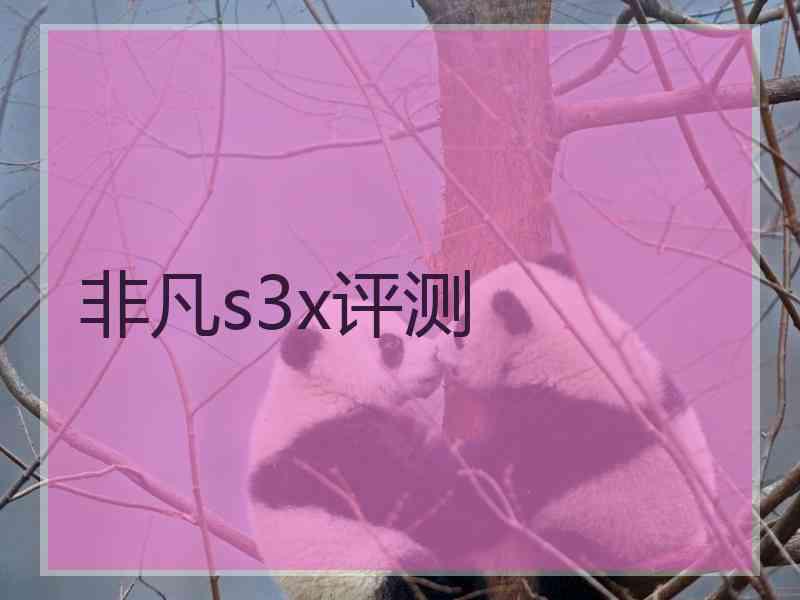 非凡s3x评测