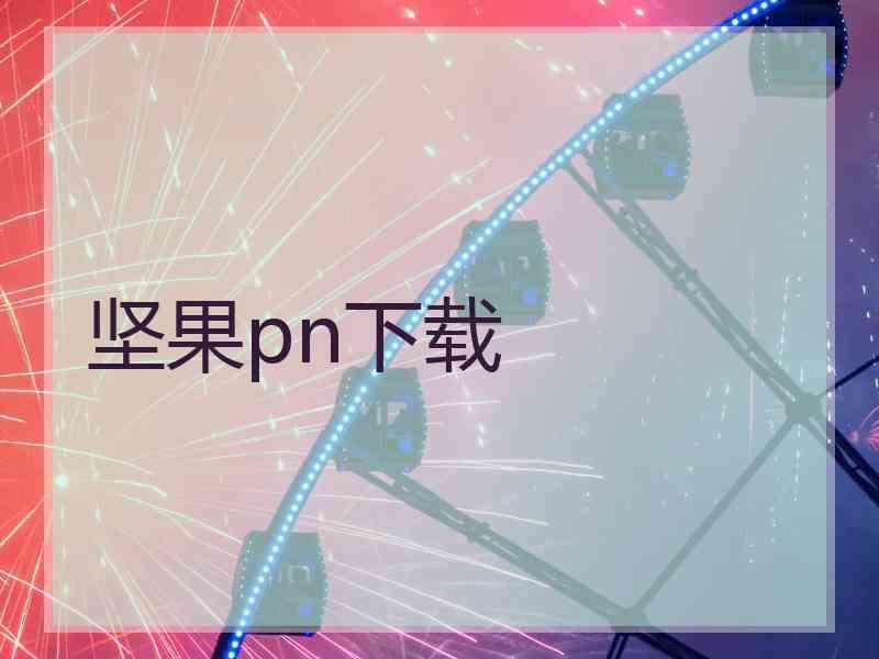 坚果pn下载