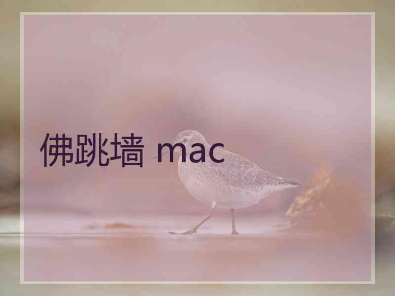 佛跳墙 mac