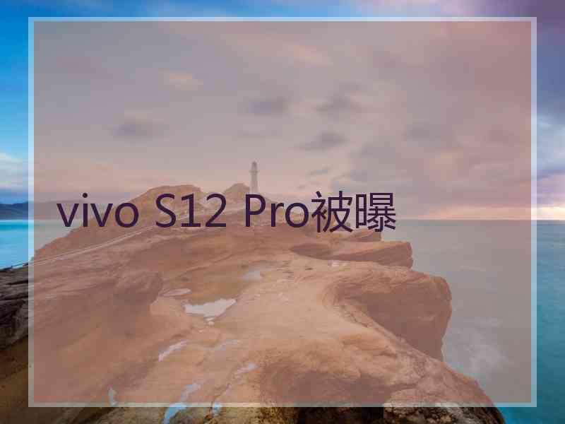 vivo S12 Pro被曝