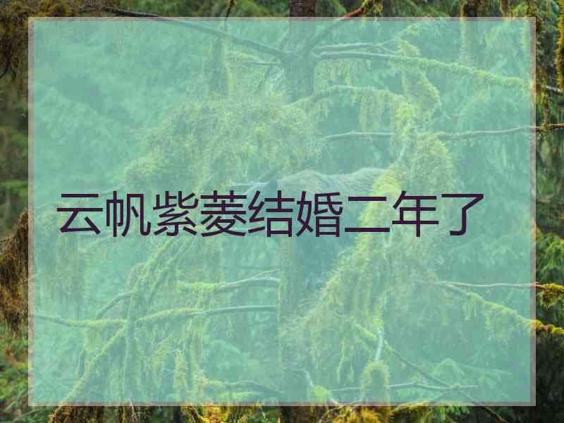 云帆紫菱结婚二年了