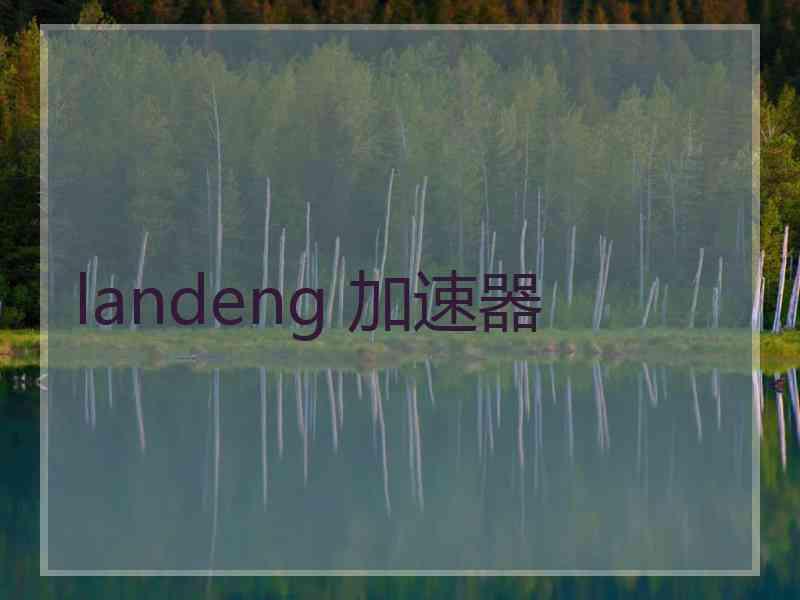 landeng 加速器