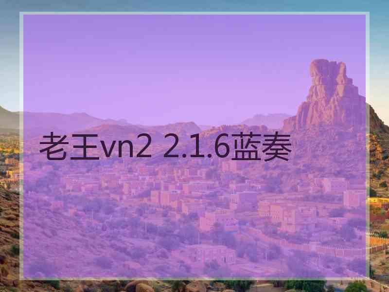 老王vn2 2.1.6蓝奏