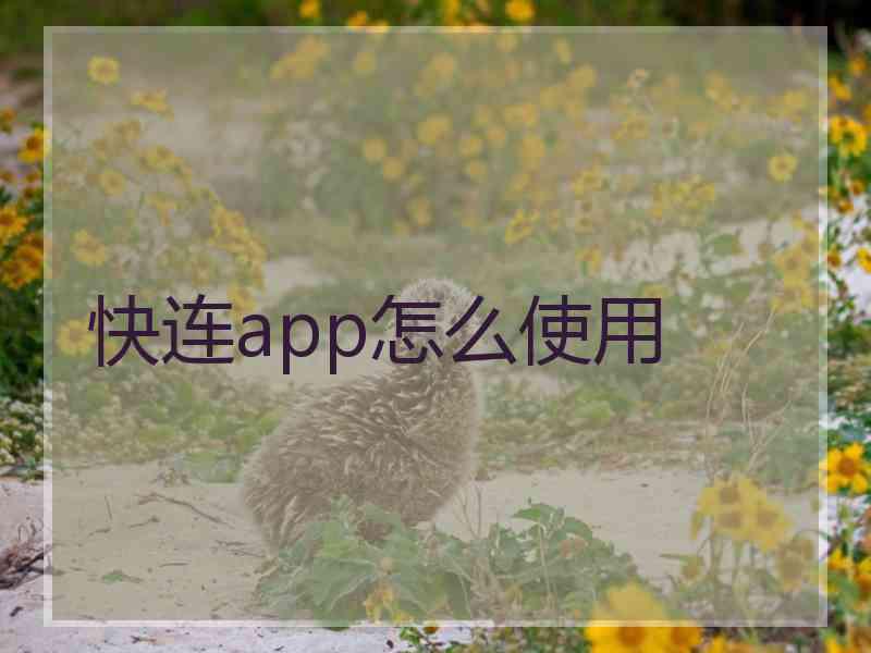 快连app怎么使用