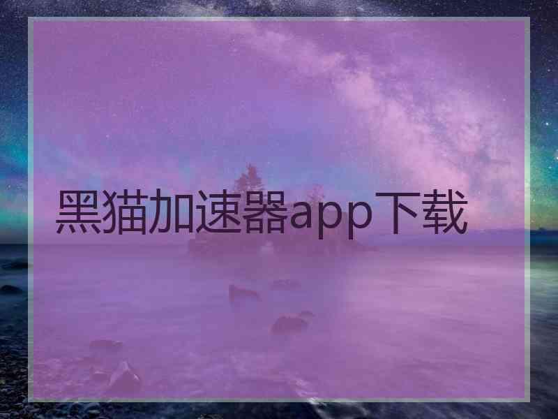 黑猫加速器app下载