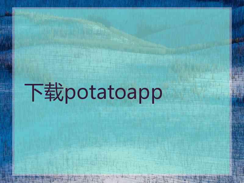 下载potatoapp