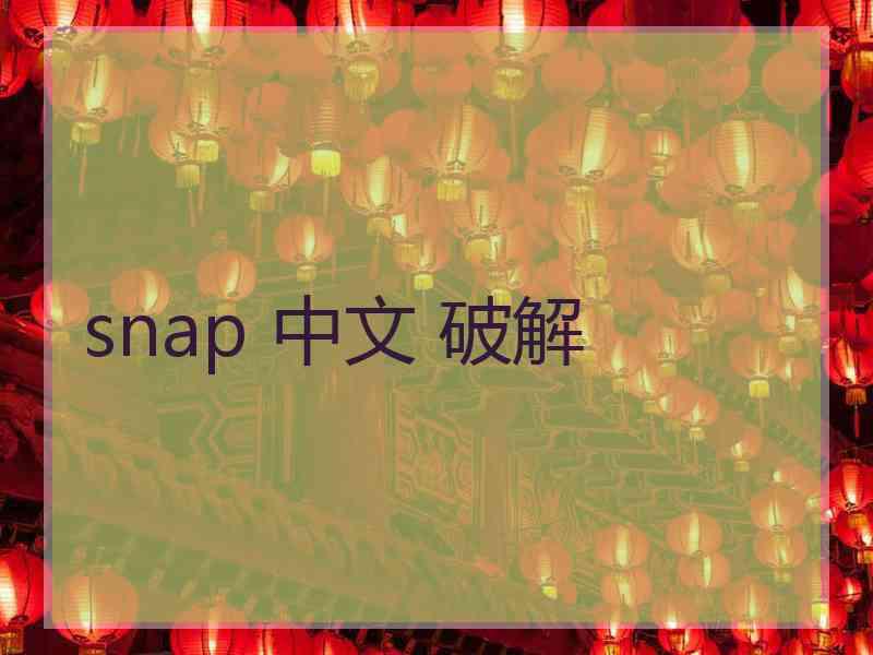 snap 中文 破解