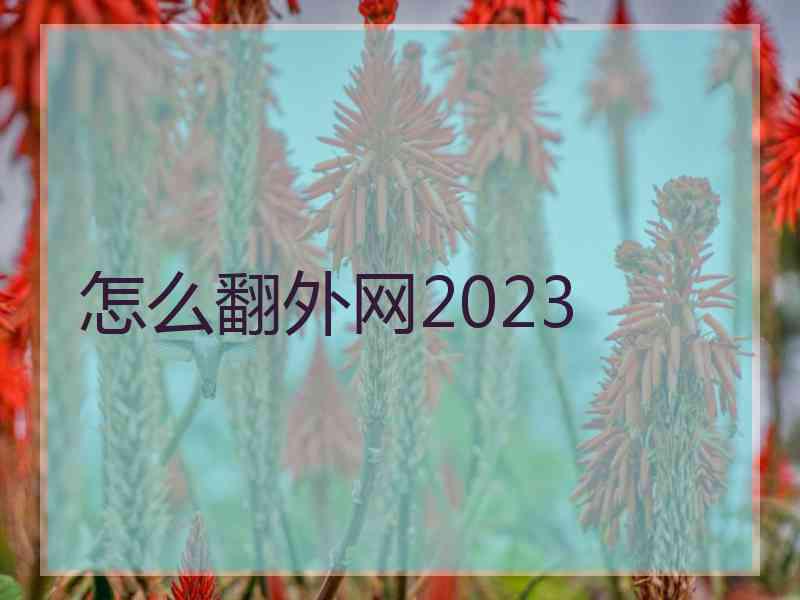 怎么翻外网2023