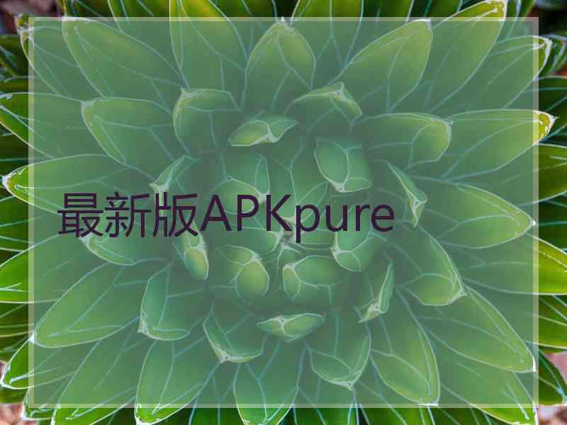 最新版APKpure