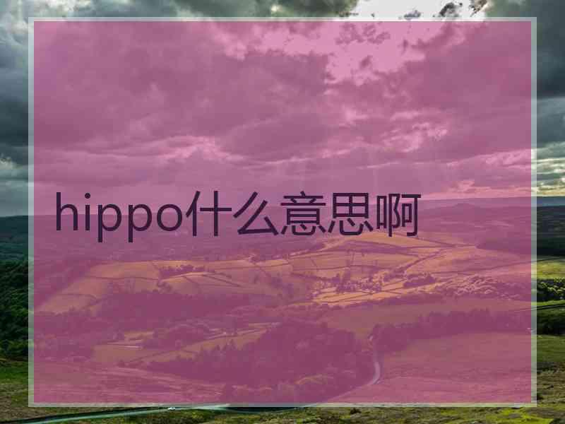 hippo什么意思啊