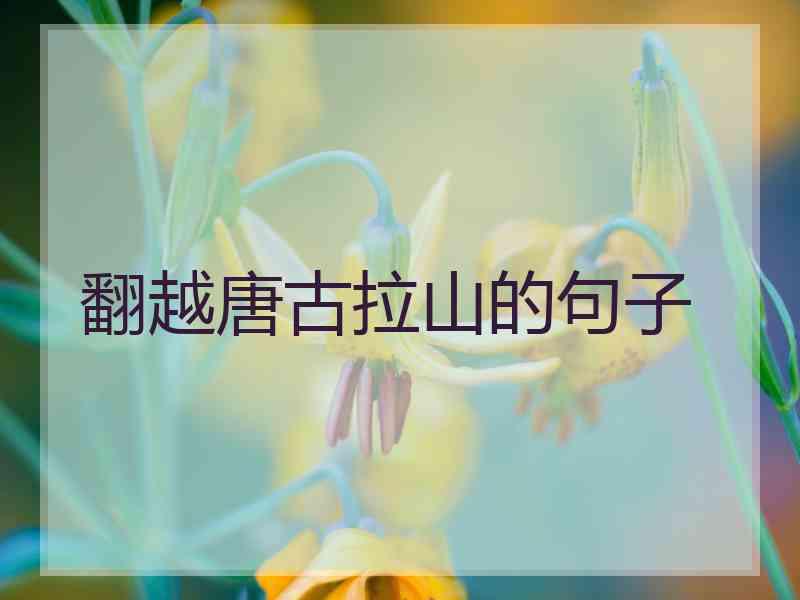 翻越唐古拉山的句子