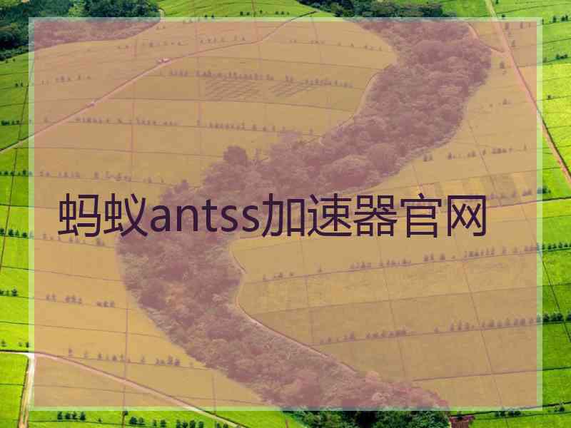 蚂蚁antss加速器官网